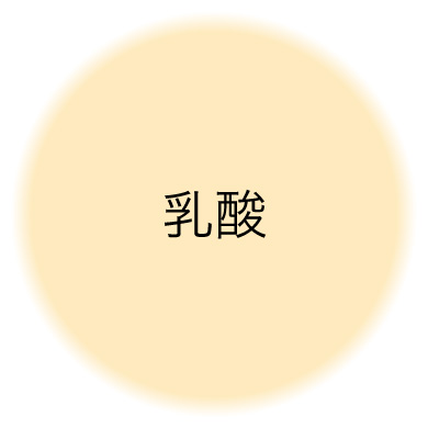 乳酸