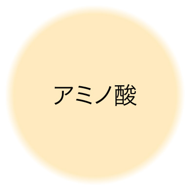 アミノ酸