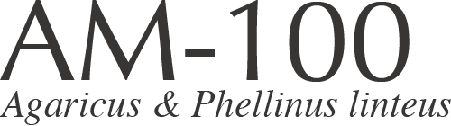 AM-100 Agaricus & Phellinus liteus